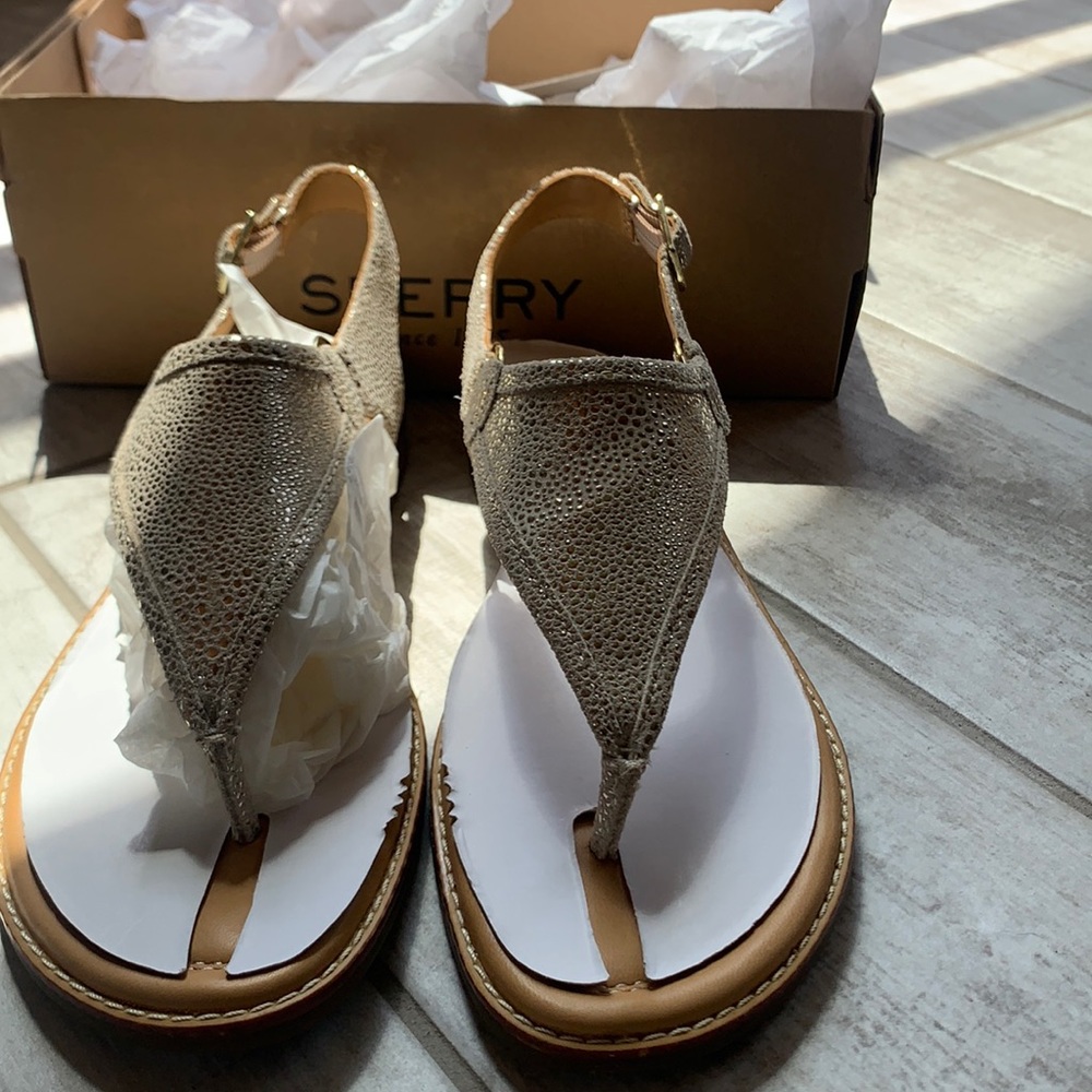 Brand new in box Sperry Sandals